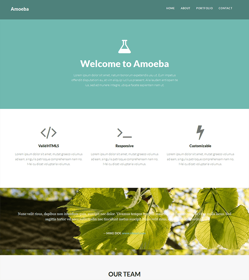 Amoeba Free Bootstrap Theme
